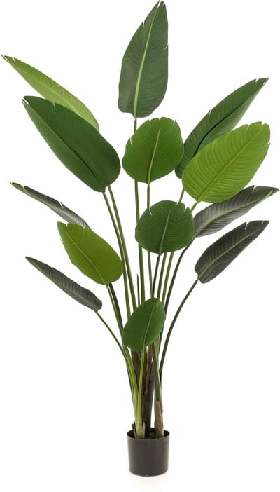 Emerald - Kunstplant Strelitzia 190cm - Kunstplant voor binnen