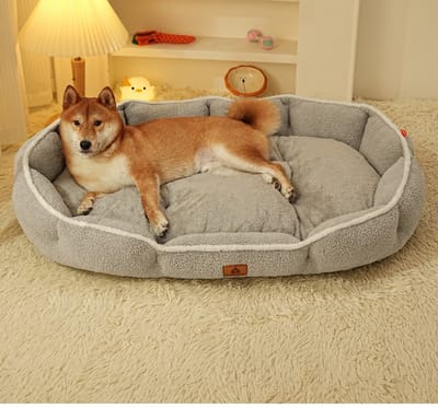 Daity Dit ultracomfortabele dierenbed biedt ongeëvenaarde verzorging voor uw huisdier. Geschikt voor huisdieren met een gewicht tot 5 kg. Maat M: 70 × 50 × 13 cm (grijs).