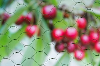 Tuinnet nano groen maaswijdte 15x15mm 10 g/m2 2x5mNature