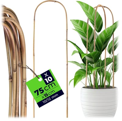 KADAX bamboestokken in U-vorm, 75cm x 10/12mm x 15cm, set van 10, bamboe klimboog, stabiele klimsteun in boogvorm, plantstokken voor klimplanten