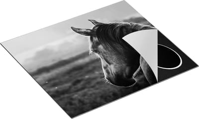 Chefcare Inductie Beschermer Paard in de Weide tijdens Zonsondergang - Zwart Wit - 60x50 cm - Afdekplaat Inductie - Kookplaat Beschermer - Inductie Mat