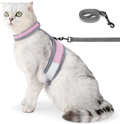 Allecto - Kattentuigje - Reflecterend - Ontsnappingsbestendig - Roze - Verstelbaar - Voor grote en kleine katten - Kattentuigje