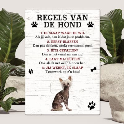Spreuken - Naakthond - Regels Van De Hond - Spreuken Bordjes - Spreukenbord - Tekstborden - Cadeau - Hondenras