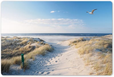 Placemats 45x30 cm - Placemat kunststof - 1 stuk - Duin - Meeuw - Strand - Zee - Zon - Borden onderleggers - Decoratie voor op tafel - Keuken tafeldecoratie accessoires - Vinyl onderlegger - Tafelversiering