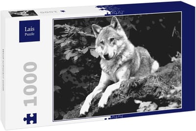 Puzzel 1000 Stukjes - Dieren Puzzel - Ontspanning Thuis - Uitdagend Ontwerp - 68x48 cm - Zwart Wit