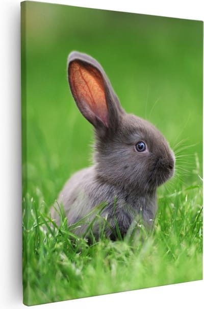 Artaza Canvas Schilderij Konijn In Gras - 40x50 cm - Wanddecoratie Dierenkop - Muurdecoratie Bos - Schilderijen Op Canvas Dieren