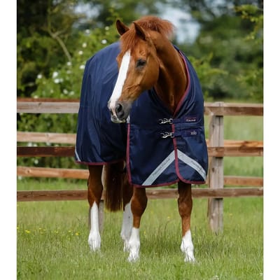 Outdoor paardendeken Premier Equine Titan 200 g Original