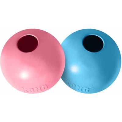 Puppybal Kong Hole