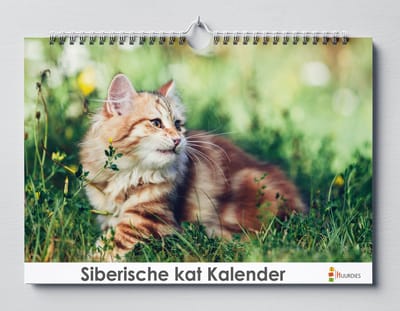 Siberische Kat verjaardagskalender | 35 X 24CM | Verjaardagskalender katten soort de Siberische kat | Verjaardagskalender Volwassenen