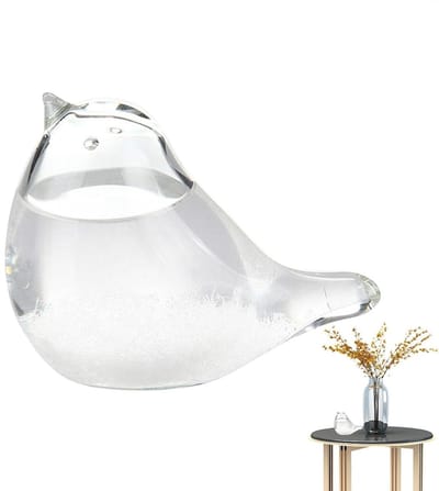 Stormglas Weersvoorspeller - Weerstation Decoratie - Dynamische Voorspelling - Kristallisatie Principe - 8 x 5 x 4 cm - Transparant