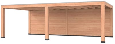 Douglas overkapping, 600 x 400, met achterwand, Westwood Modern Plus