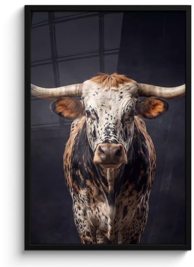 Poster in lijst - Fotolijst 60x90 cm - Posters - Stier - Kleurrijk - Hoorns - Posterlijst zwart - Decoratie - Wanddecoratie woonkamer - Muurdecoratie slaapkamer
