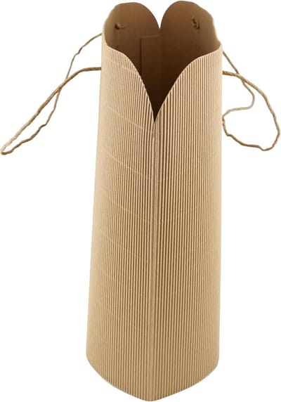 6x Stevige Kraft Papieren Zakken met Handvat - Cadeautas & Boodschappentas - Golfpatroon