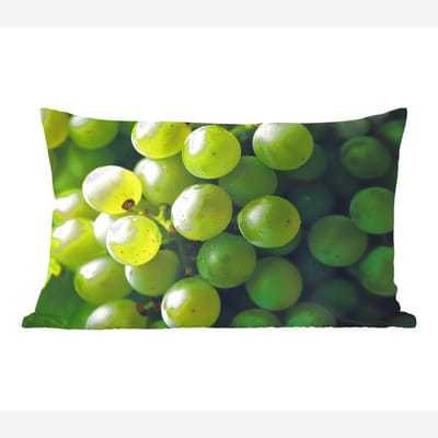 Sierkussens - Kussentjes Woonkamer - 60x40 cm - Druiven - Tros - Groen
