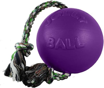 Duurzaam Honden Speelgoed Bal met Touw 15 cm Blauw - Drijfvermogen en Sterk