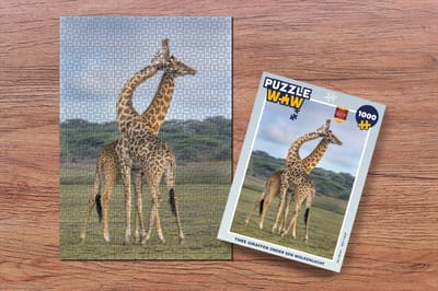 Puzzel Twee giraffen onder een wolkenlucht - Legpuzzel - Puzzel 1000 stukjes volwassenen