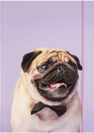 Verzameltas A3 van Stevig Karton met Elastiek - Basic Puggy Love
