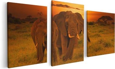 Artaza Canvas Schilderij Drieluik Olifanten In Het Wild - Zonsondergang - 120x60 - Foto Op Canvas - Canvas Print