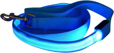 USB Oplaadbare LED Hondenriem Verlicht – Lichtgevende & Knipperende Hondenriem voor Honden, Veiligheidsriem voor Nachtwandeling, Glow Touwriem - Blauw