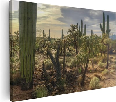 Artaza Canvas Schilderij Cactus - 60x40 cm - Wanddecoratie Woestijn - Muurdecoratie Natuur - Schilderijen Op Canvas