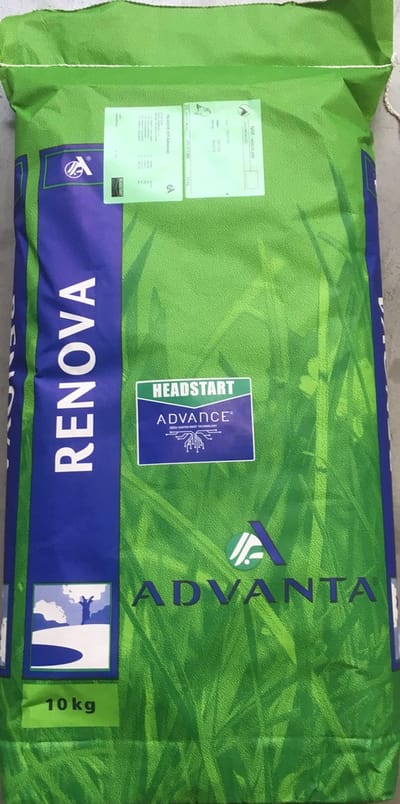 Renova - Gazonzaad - Advanta - 10 kg