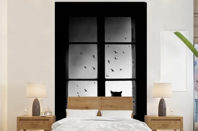 Behang - Fotobehang Kat - Dieren - Zwart wit - Raam - Breedte 200 cm x hoogte 300 cm