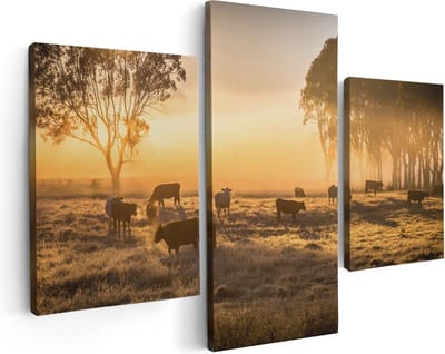 Artaza Canvas Schilderij Drieluik Kudde Koeien In De Wei Met Zonsopkomst - 90x60 - Foto Op Canvas - Canvas Print