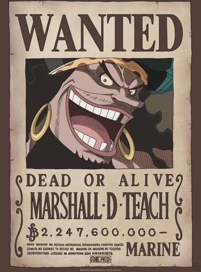 Pit Boss | Butcher paper houder, magnetisch
