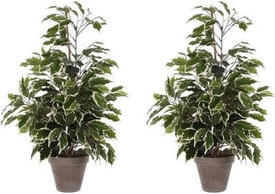2x Groen/witte tropische ficus kunstplanten 65 cm voor binnen - kunstplanten/nepplanten/binnenplanten. U ontvangt 2 stuks.