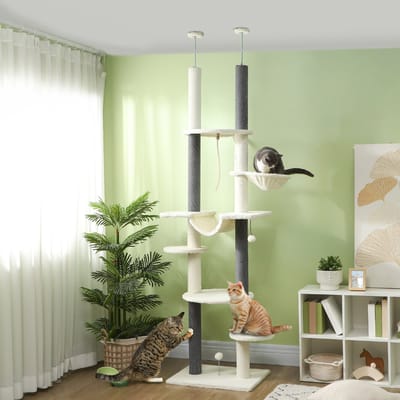Wishdor - Krabpaal Tot Het Plafond - Verstelbare Hoogte En Meerdere Ligplekken - Voor Binnen - Polyester - Wit - 60 X 44 X 225-255 Cm