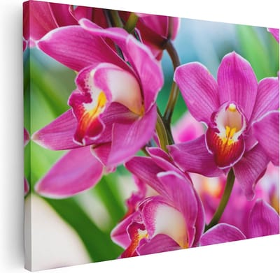 Artaza Canvas Schilderij Bloemen - 40x30 cm - Klein - Wanddecoratie Orchidee - Muurdecoratie Stilleven - Kamer Accessoires