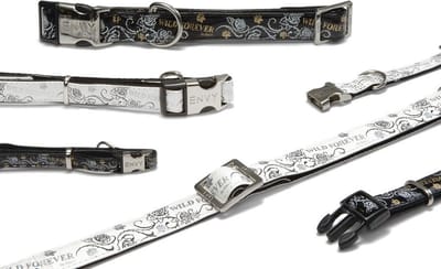 Beeztees Envy halsband hond Wild forever - Zwart - 48-70 cm