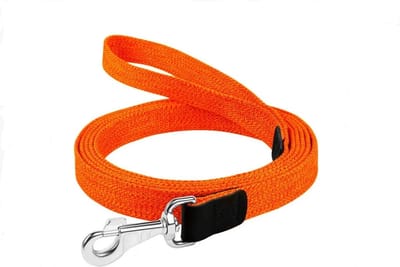 WAUDOG Canvas Hondenlijn / Hondenriem - Gevlochten Katoen - Oker - Breedte: 2,5 cm - Lengte: 200 cm - Geschikt voor grote honden