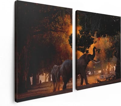 Artaza Canvas Schilderij Tweeluik Twee Olifanten In Het Bos - 120x80 - Foto Op Canvas - Canvas Print