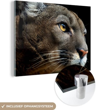 MuchoWow® Glasschilderij 160x120 cm - Schilderij acrylglas - Poema - Ogen - Zwart - Foto op glas - Schilderijen