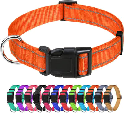 Verstelbare Reflecterende Nylon Hondenhalsband voor Middelgrote Honden - Veiligheidsgesp, 30-50 cm, Oranje