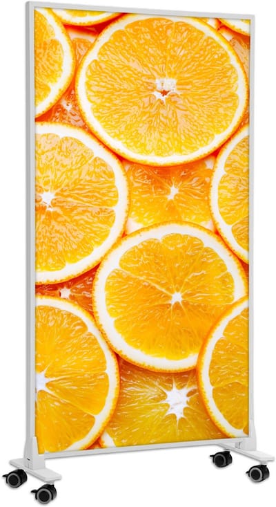 Infrarood verwarmingspaneel vrijstaand | Infrarood verwarming verplaatsbaar met afbeelding Stand 12 | 800W | |