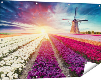 Gards Tuinposter Kleurrijke Tulpen Bloemenveld - Windmolen - 120x80 cm - Tuindoek - Tuindecoratie - Wanddecoratie buiten - Tuinschilderij