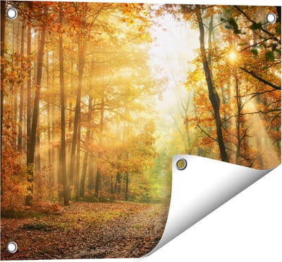 Gards Tuinposter Herfstbos met Zonneschijn - 50x40 cm - Tuindoek - Tuindecoratie - Wanddecoratie buiten - Tuinschilderij