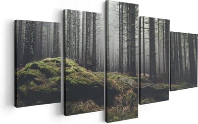 Artaza Canvas Schilderij Vijfluik Bos Met Mos Op Rotsen - 100x50 - Foto Op Canvas - Canvas Print