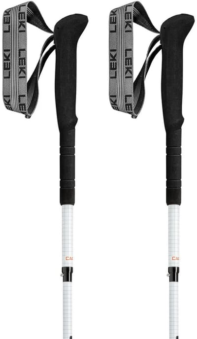 Leki Skytera Fx.one Sl Stokken Grijs 110 cm