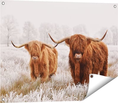Gards Tuinposter Twee Schotse Hooglander Koeien in de Wei - 80x60 cm - Tuindoek - Tuindecoratie - Wanddecoratie buiten - Tuinschilderij