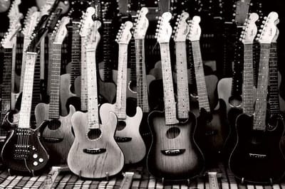 Fotobehang - Guitars Collection 375x250cm - Vliesbehang
