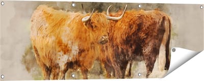 Gards Tuinposter Twee Schotse Hooglander Koeien - Abstract - 120x40 cm - Tuindoek - Tuindecoratie - Wanddecoratie buiten - Tuinschilderij