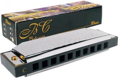 Diatonische Mondharmonica C-Toonaard - 10 Gaten Voor Beginners en Gevorderden
