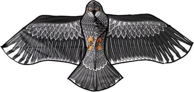 Vlieger Roofvogel 180x80cm