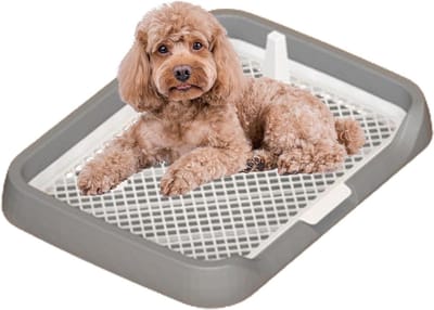 Hondenpotje Trainingstoilet - Wandzuil Puppy - Zindelijkheidstraining Hond - Gemakkelijk te Reinigen - 50 x 39 cm - Grijs