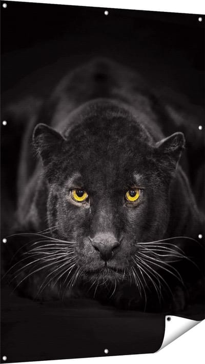 Gards Tuinposter Zwarte Panter met Oranje Ogen - 100x150 cm - Tuindoek - Tuindecoratie - Wanddecoratie buiten - Tuinschilderij