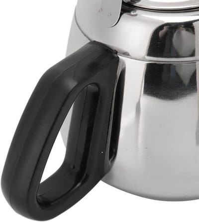 Dailygoody RVS Theepot - Stijlvolle theeketel