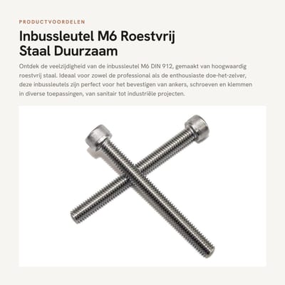 Dailygoods- Inbussleutel M6 roestvrij staal A2-70 - Schroeven - Klemmen - Industrie - Doe-het-zelf - Hoogwaardige kwaliteit - Sleutel